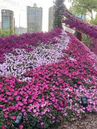 ชมเทศกาลดอกไม้ 2025 ใจกลางเมืองเซี่ยงไฮ้ 🌷✨🌺