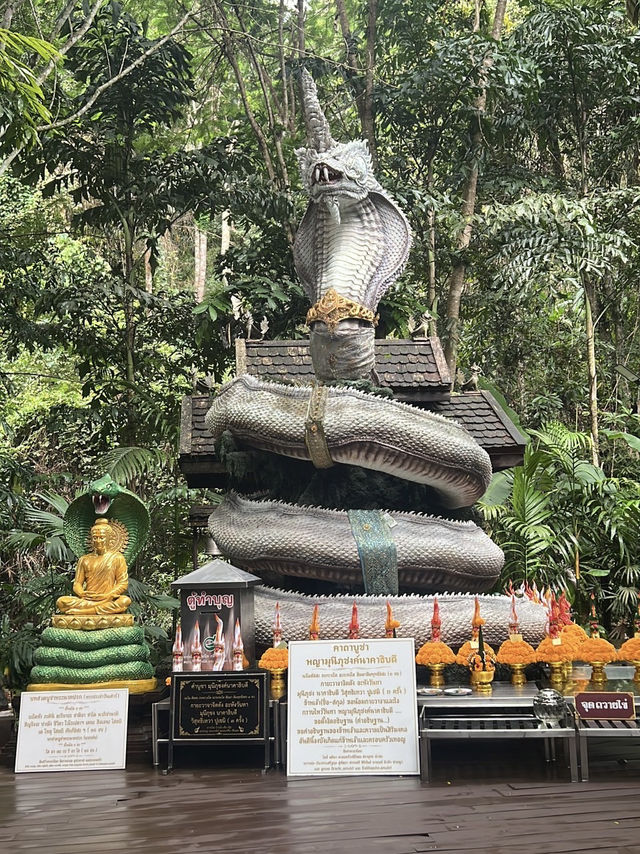 ไหว้ปู่ภุชงค์นาคาธิบดี แม่ออน 