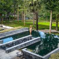 พักผ่อนฮีลใจที่เชียงใหม่ นอนรีสอร์ทสวย 🌳
