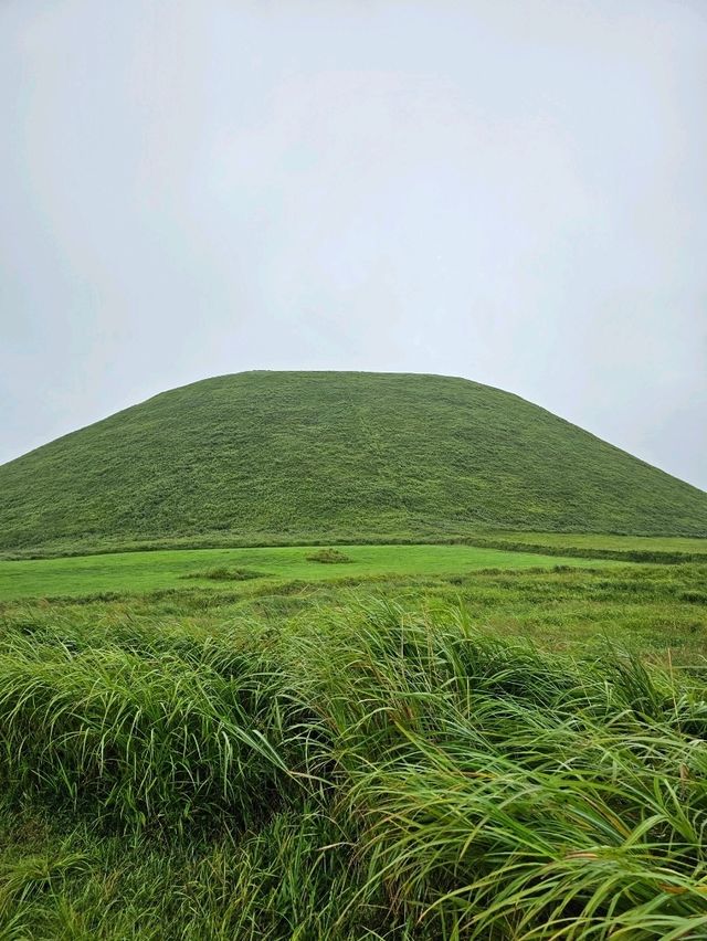 美しい円すい形が広がる、阿蘇のシンボル的な小丘