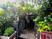 Authentic Home-Cooked Asam Laksa at Relau 88