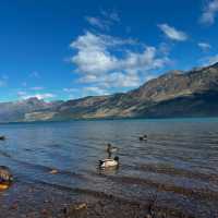 Nature’s Masterpiece: Glenorchy’s Spellbinding Serenity