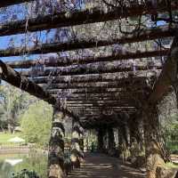 Araluen Botanic Park