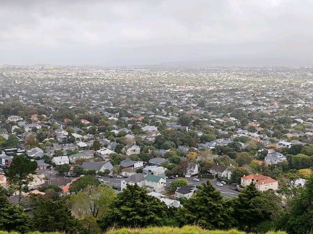 Auckland's Volcanic Summit: A Symphony of City and Sea