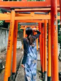 ศาลเจ้าเนซุ Nezu Shire