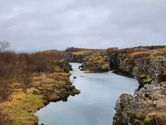 “Golden Reflections of Thingvellir”