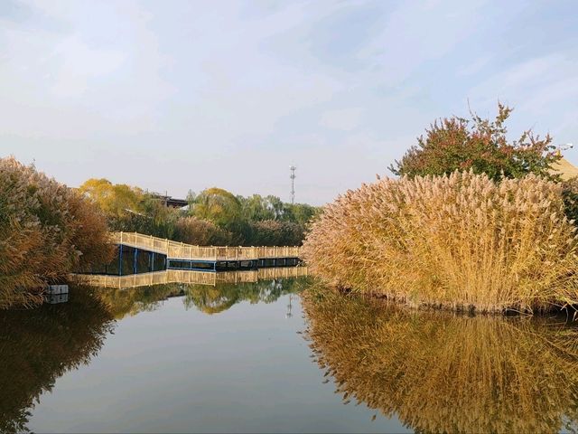 A Hidden Waterside Haven Amid Golden Reeds A Hidden Waterside Haven Amid Golden Reeds