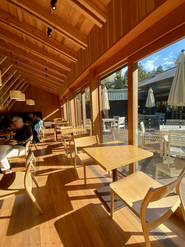 🍃 Nature, Architecture, and Sweets at Toraya Kobo in Gotemba 🍃 Nature, Architecture, and Sweets at Toraya Kobo in Gotemba