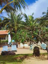 “Golden Moments by the Sea — Ocean Bay Resort, Phu Quoc”