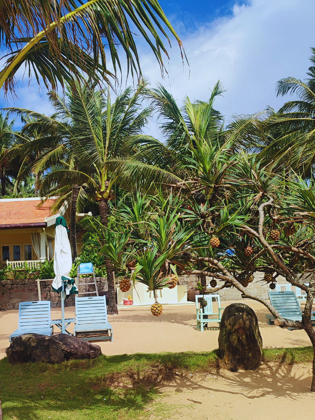 “Golden Moments by the Sea — Ocean Bay Resort, Phu Quoc” “Golden Moments by the Sea — Ocean Bay Resort, Phu Quoc”