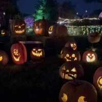 Franklin Park Conservatory and Botanical Gardens