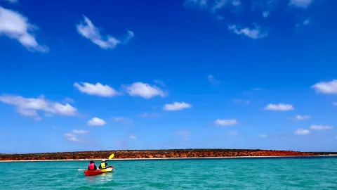 〜RAC Monkey Mia Dolphin Resort 〜🇦🇺🐬🚣‍♂️🍽️ — traveler post in デナム