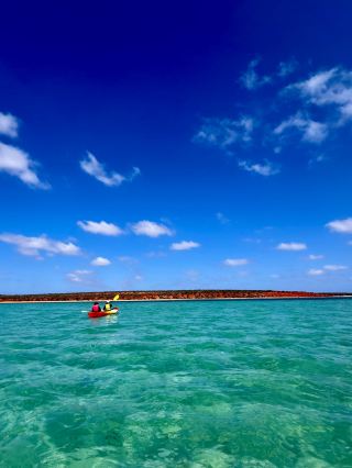 〜RAC Monkey Mia Dolphin Resort 〜🇦🇺🐬🚣‍♂️🍽️