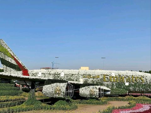 A Blooming Wonderland of Color and Creativity