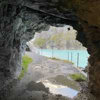 Chasing the Pink Tune of La Lire Rose