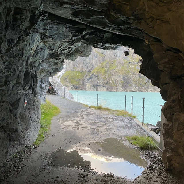 Chasing the Pink Tune of La Lire Rose