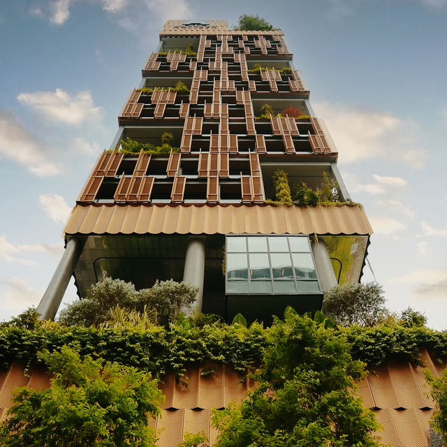 Culture Woven, Comfort Refined