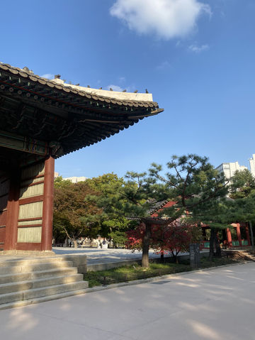 พระราชวังด็อกซูกุง (Deoksugung Palace / 덕수궁) พระราชวังด็อกซูกุง (Deoksugung Palace / 덕수궁)