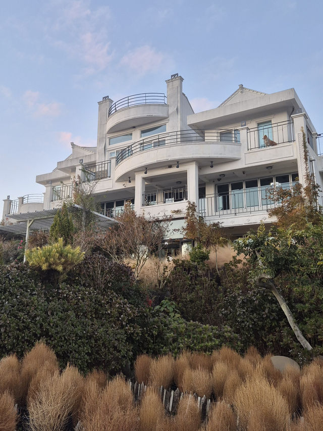 ๐ซง ์ฐ๋ฐฉ์ฐ์ ๋ง์ฃผํ ์ ์ฃผ ๋ง๋
ธ๋ฅด๋ธ๋ ์ ์ ๐ ๐ซง ์ฐ๋ฐฉ์ฐ์ ๋ง์ฃผํ ์ ์ฃผ ๋ง๋
ธ๋ฅด๋ธ๋ ์ ์ ๐