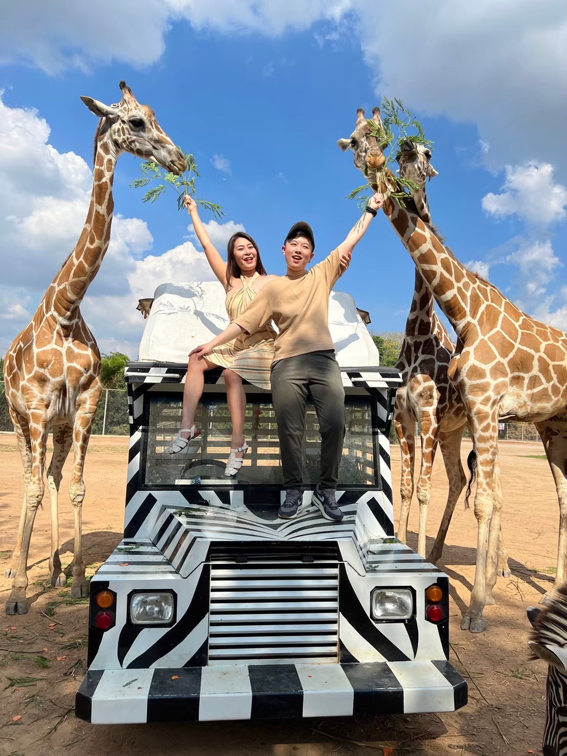 【Safari Park Kanchanaburi】A Day of Jungle Adventure