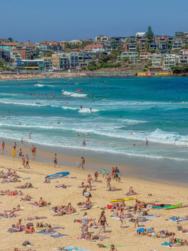 🇦🇺Bondi Beach, Sydney🇦🇺
