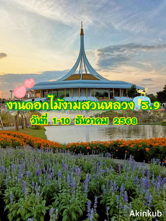 เดินชมดอกไม้งาม เทศกาลพรรณไม้เมืองหนาว สวนหลวงร.9