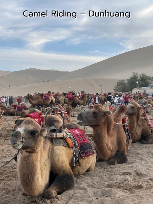 Silk Road Dunhuang Desert @ Gansu, China Silk Road Dunhuang Desert @ Gansu, China