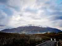 Winter Escape to Xinjiang: Powder Snow Adventure