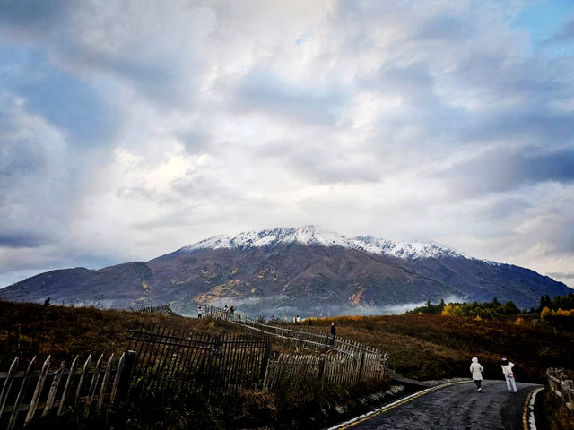 Winter Escape to Xinjiang: Powder Snow Adventure