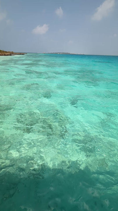#hellonewyear 
"The most beautiful water I have ever seen—its blue depths captivate the eyes, the soft touch of the waves soothes the mind, and the feeling of beauty that is not only visible to the eyes, but also deeply embedded in the heart, becomes a lifelong memory." 💙🌊