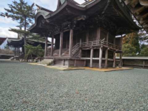 《宮地阿蘇神社|祈願之石與祈福之樹,把心願交給時間》🌲✨