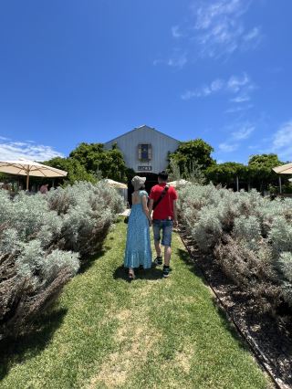 A Memories to Remember