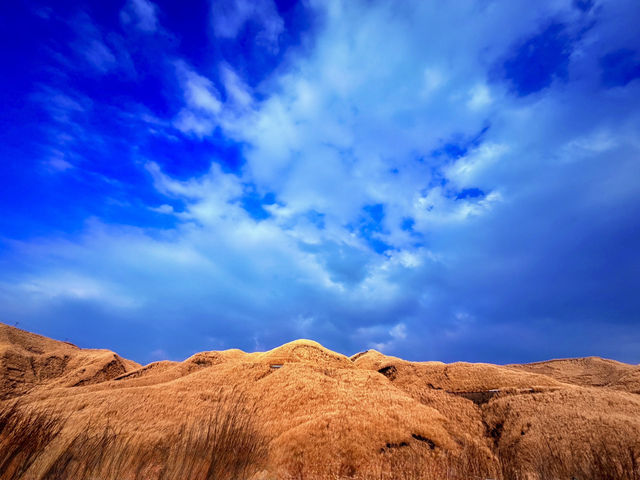 阿蘇市｜一之宮町坂梨｜九州寂寞公路