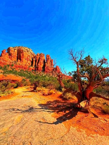 セドナ：アリゾナ州の知られざるレッドロックの楽園。 | Trip.com セドナ