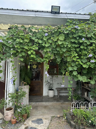 Butter Daisy Cafe: A Great Vibe Cafe in Wang Saphung District.