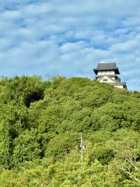 🏯犬山城之深度🪷療癒旅行