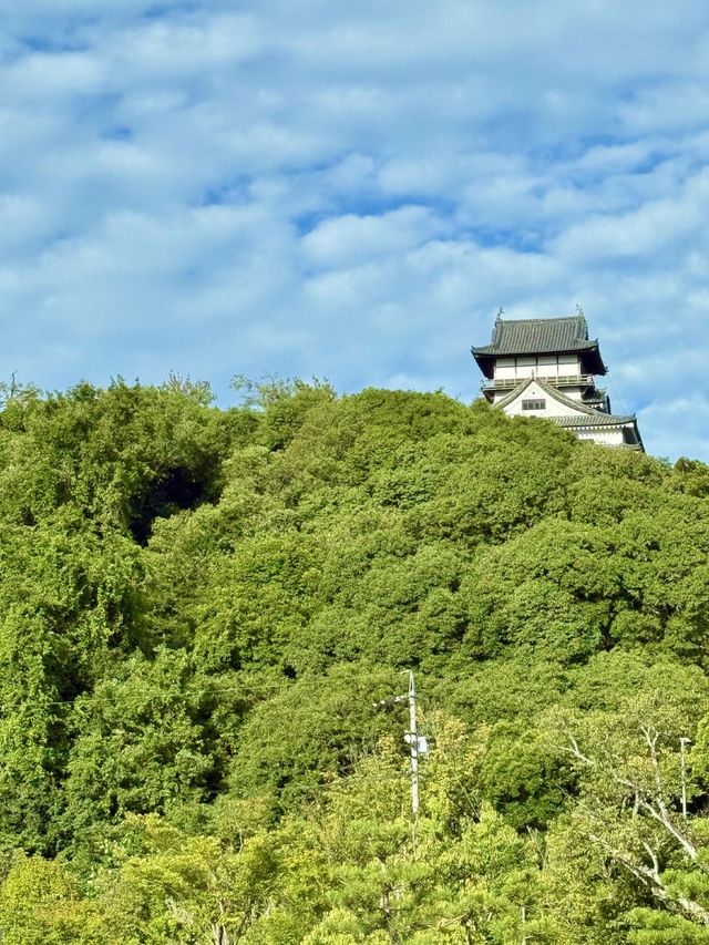 🏯犬山城之深度🪷療癒旅行
