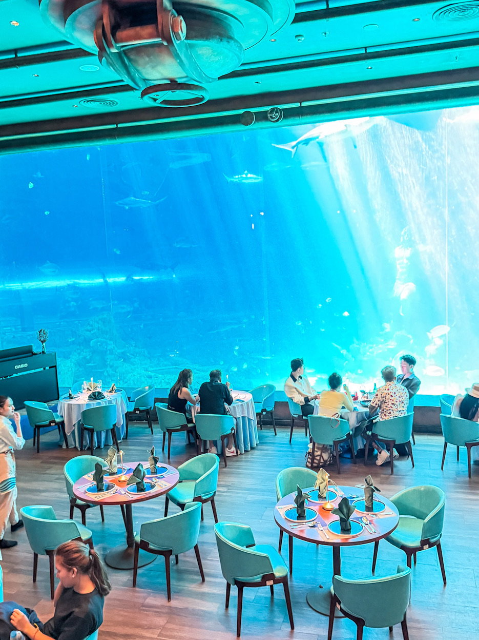 🦈 Dining With Sharks: Deep Sea Restaurant in Phu Quoc