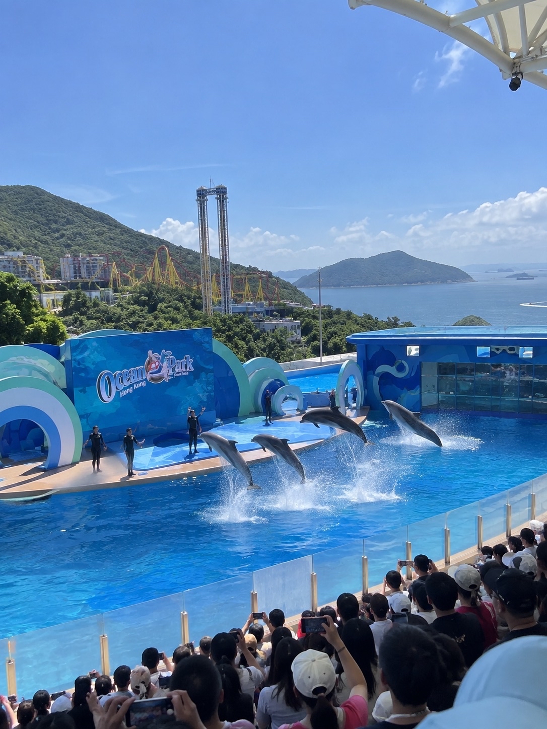 Ocean Park Hong Kong เที่ยวสนุกครบทั้งสวนสนุกและโลกใต้ทะเล