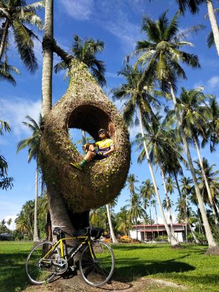 [Penang, Malaysia] Pedal Into a Pastoral Paradise! A Leisurely Cycle Through Kampung Agong’s Coconut Groves & Paddy Fields 🌴🚲