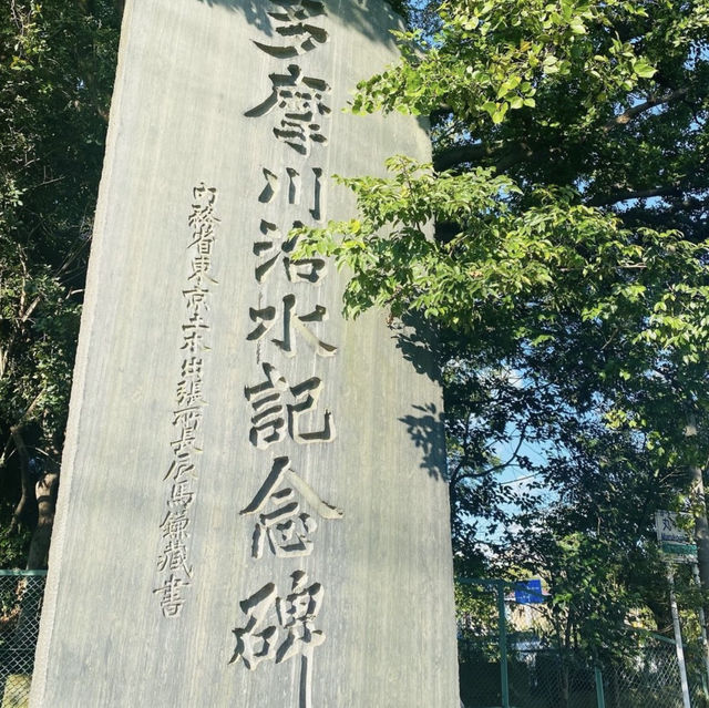 【東京都🇯🇵浅間神社】マイナスイオンたっぷり🌲子宝神社⛩️