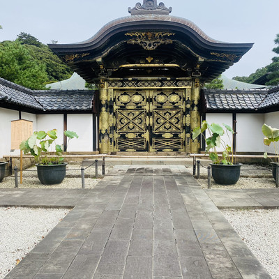 神奈川県🇯🇵建長寺】日本最初の禅宗専門寺院へ☺️ | Trip.com 鎌倉 神奈川県🇯🇵建長寺】日本最初の禅宗専門寺院へ☺️ | Trip.com 鎌倉