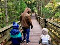 Chasing Waterfalls at Tahquameon State Park