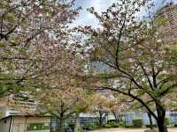 難波中公園