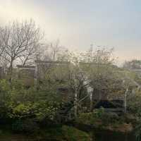 Hangzhou 5 Days Itinerary