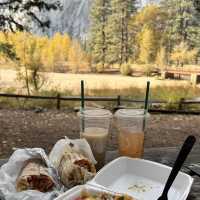 優勝美地必看攻略！Yosemite National Park！