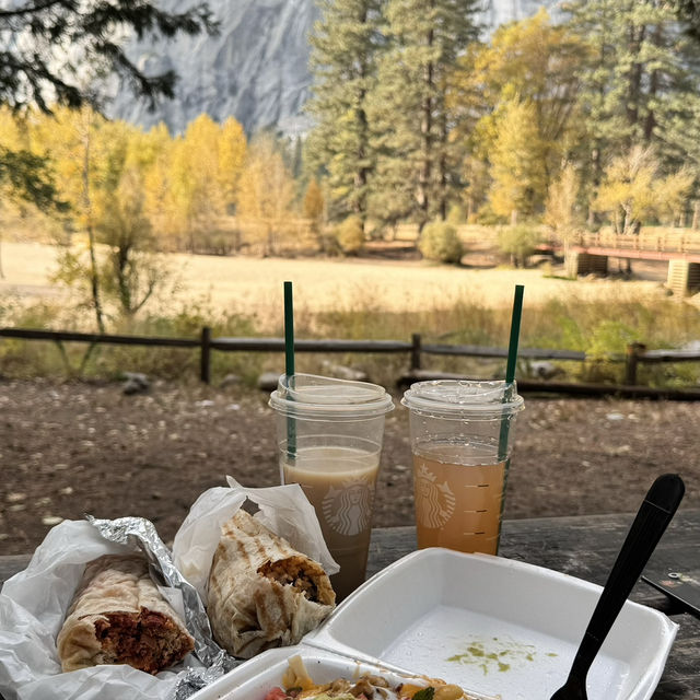 優勝美地必看攻略！Yosemite National Park！