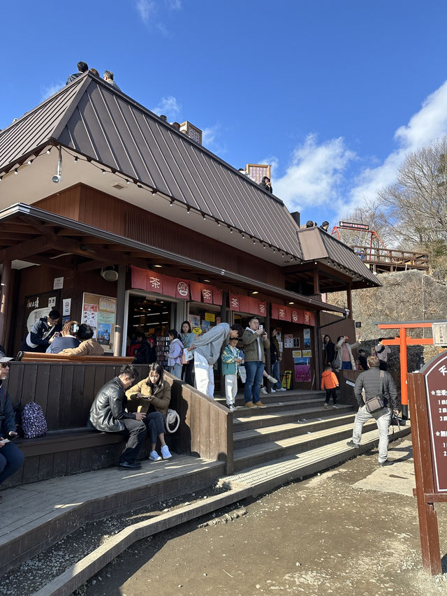 登天上山公園排隊打韆鞦💜嘆無敵富士山美景🗻