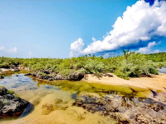 綠島紫坪生態保育區