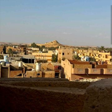 歷史與自然共舞慢活體驗🌳